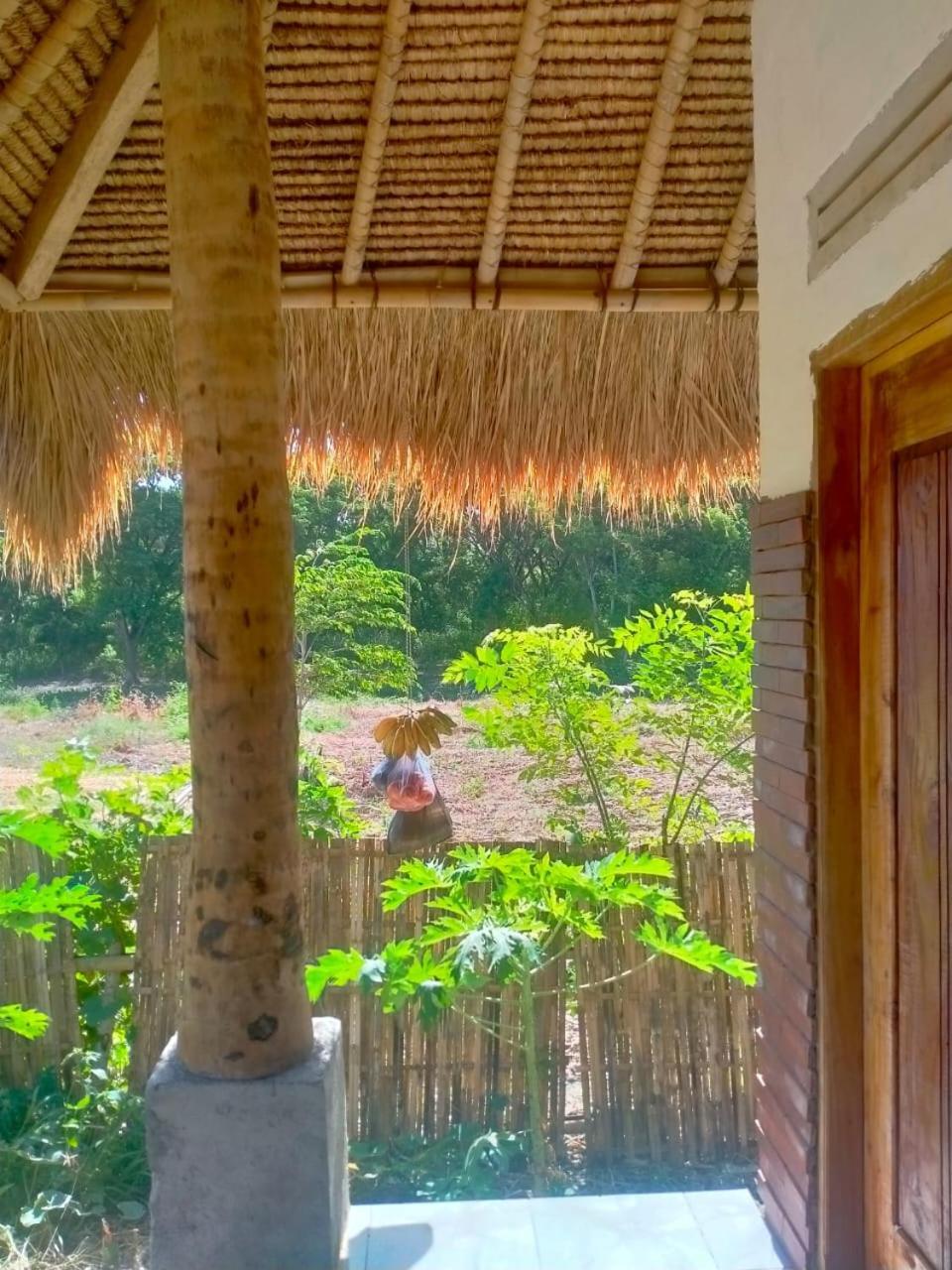 Melody Surf - Ekas Lombok Hotel Luaran gambar