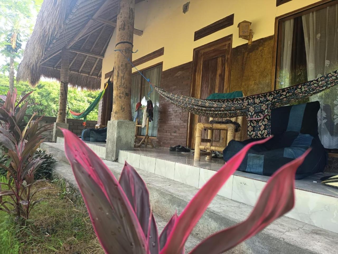 Melody Surf - Ekas Lombok Hotel Luaran gambar