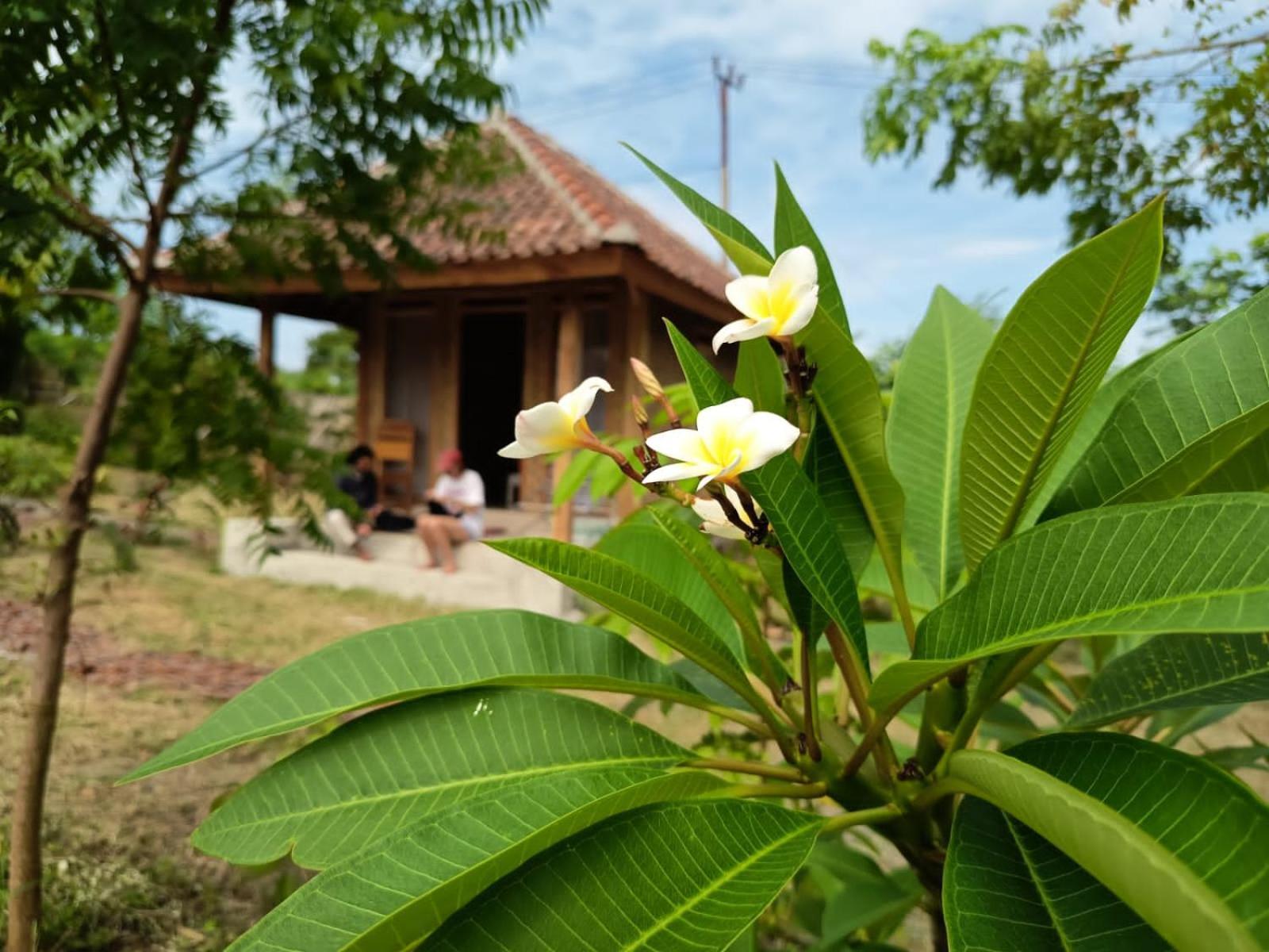 Melody Surf - Ekas Lombok Hotel Luaran gambar