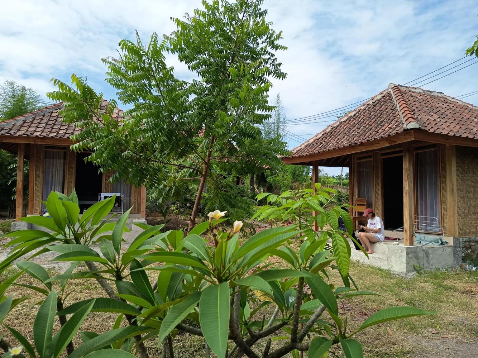 Melody Surf - Ekas Lombok Hotel Luaran gambar