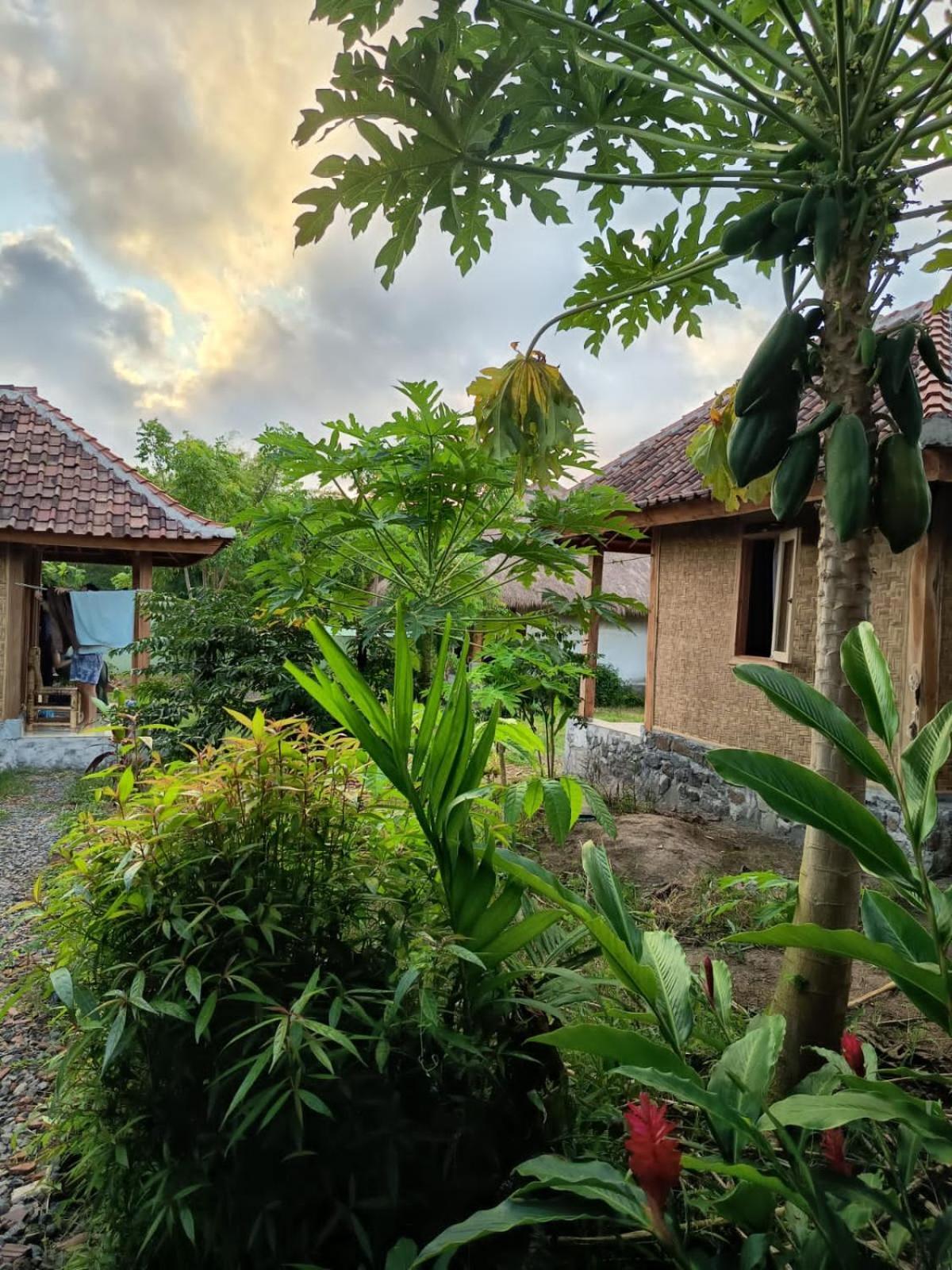 Melody Surf - Ekas Lombok Hotel Luaran gambar